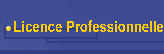 Licence Profesionnelle